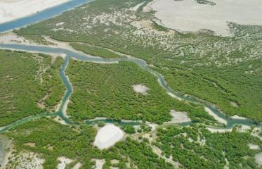 Empieza la cuenta atrás para la cumbre de biodiversidad más importante del mundo