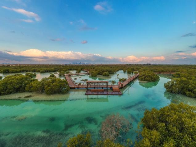 Jubail_Mangrove_Park